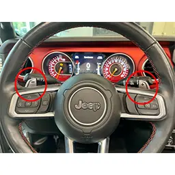 Paddle Shifter
