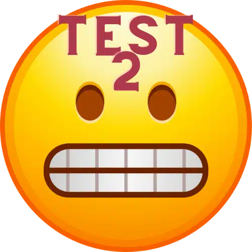 Test Product 2